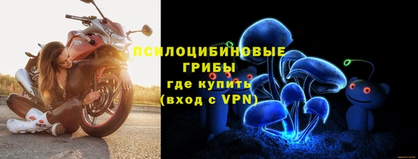 молекула духа Бородино