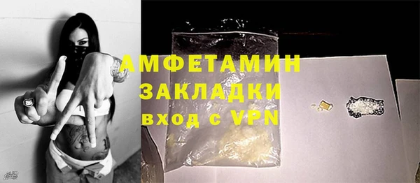 молекула духа Бородино