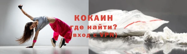молекула духа Бородино