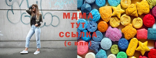 молекула духа Бородино