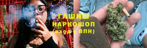 молекула духа Бородино