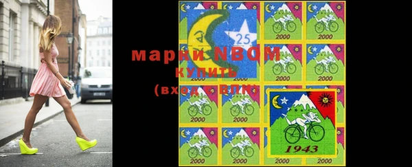 молекула духа Бородино